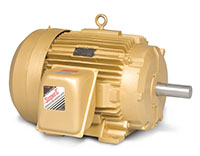 Baldor-Reliance Shaft Grounding or Three Phase Enclosed Alternating Current (AC) Motors - 2