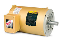 Baldor-Reliance Enclosed Three Phase Alternating Current (AC) Motor - 4