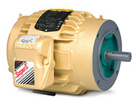 Baldor-Reliance 11.36 in. Overall Length and 76 Power Factor Enclosed Three Phase Alternating Current (AC) Motor