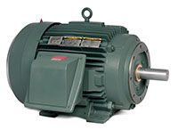 Baldor-Reliance General Severe Duty Alternating Current (AC) Motor (CECP4308T)