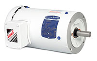 Baldor-Reliance White Washdown Alternating Current (AC) Motor - 6