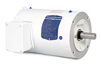 Baldor-Reliance White Washdown Alternating Current (AC) Motor - 8