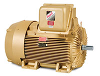 Baldor-Reliance Enclosed Three Phase Alternating Current (AC) Motor - 8