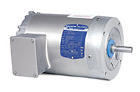 Baldor-Reliance Paint Free Alternating Current (AC) Motor - 2