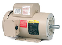 Baldor-Reliance Premium Efficient Farm Duty Alternating Current (AC) Motor - 2