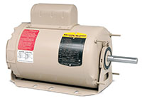 Baldor-Reliance Premium Efficient Farm Duty Alternating Current (AC) Motor - 3