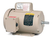 Baldor-Reliance Premium Efficient Farm Duty Alternating Current (AC) Motor - 4