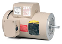 Baldor-Reliance Premium Efficient Farm Duty Alternating Current (AC) Motor - 9