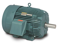 Baldor-Reliance General Severe Duty Alternating Current (AC) Motor - 4