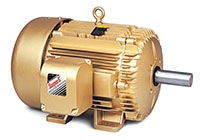 Baldor-Reliance Enclosed Three Phase Alternating Current (AC) Motor - 9