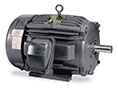 Baldor-Reliance Explosion Proof General Purpose Alternating Current (AC) Motors - 2