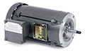 Baldor-Reliance Explosion Proof Pump Alternating Current (AC) Motors