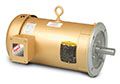 Baldor-Reliance Enclosed Three Phase Alternating Current (AC) Motor