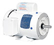 Baldor-Reliance White Washdown Alternating Current (AC) Motor - 2