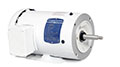 White Washdown or 56J Jet Pump Motors