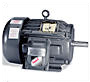 Product Image - Hazardous Duty Alternating Current (AC) Motors