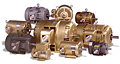 Category Image - AC Motors