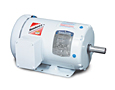 Washdown Alternating Current (AC) Motors